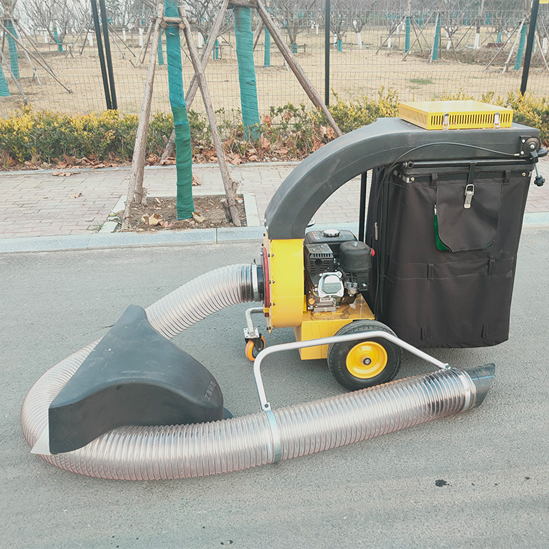 미니 차량용 휘발유 엔진 장착 모터 및 기어가 있는 정 - Power Tools Garden 리뷰 및 가격